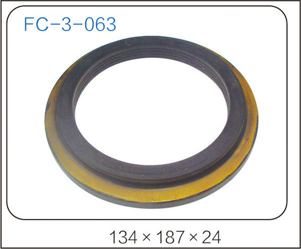 oil seal (33)