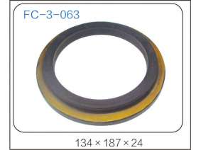 oil seal (33)