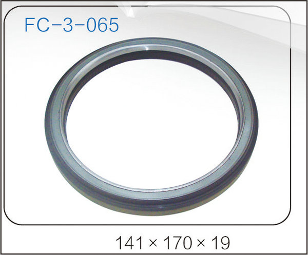 oil seal (34)