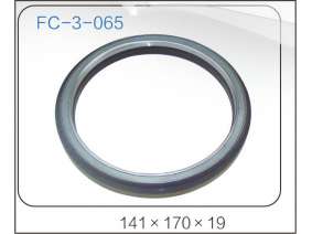 oil seal (34)