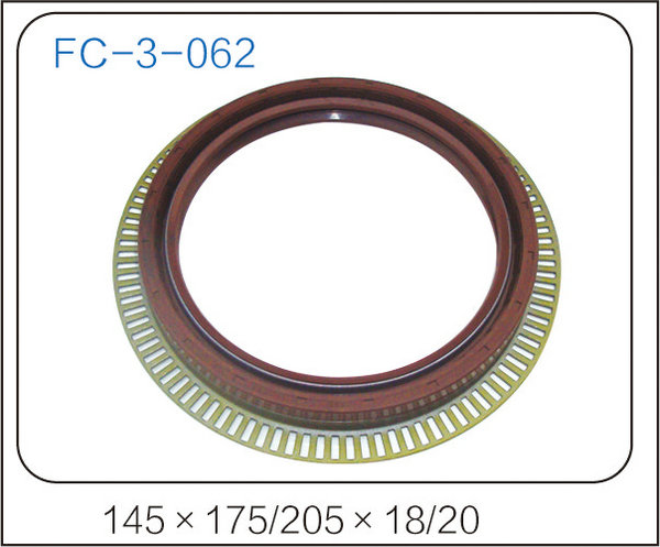 oil seal (32)