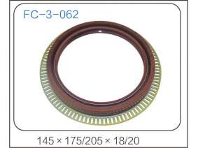 oil seal (32)