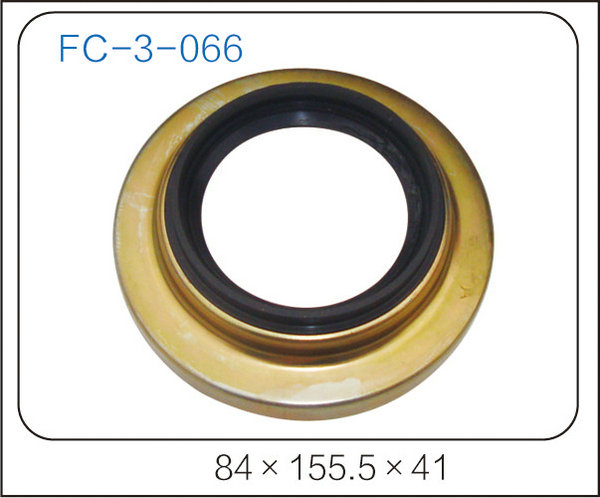 oil seal (35)