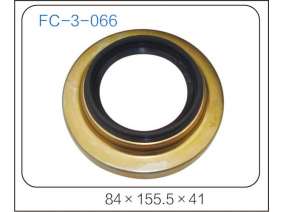 oil seal (35)