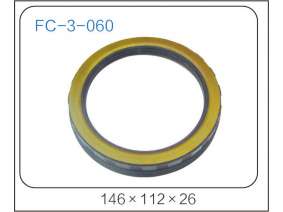 oil seal (30)