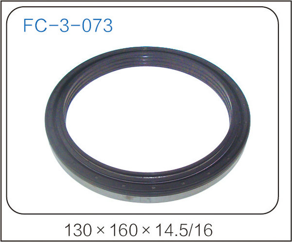 oil seal (40)