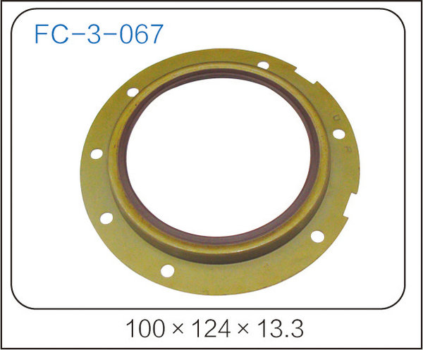 oil seal (36)