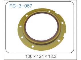 oil seal (36)