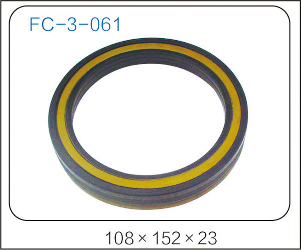 oil seal (31)