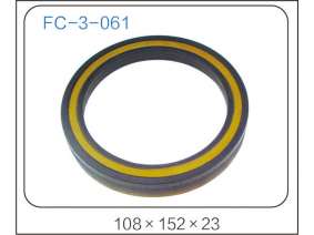 oil seal (31)