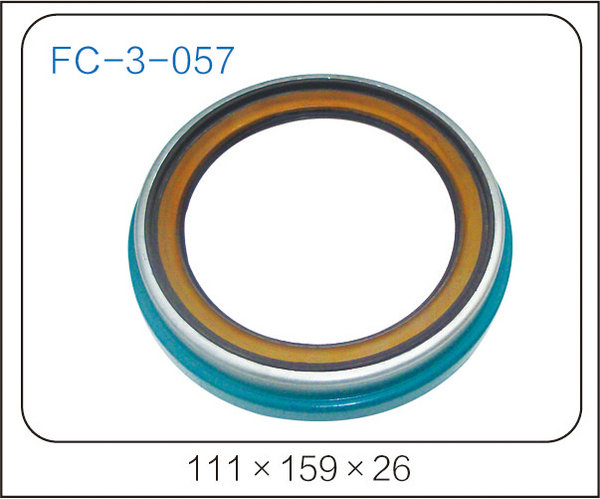 oil seal (27)