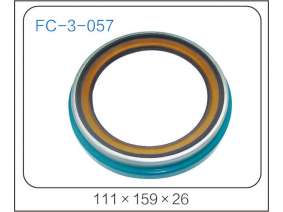oil seal (27)