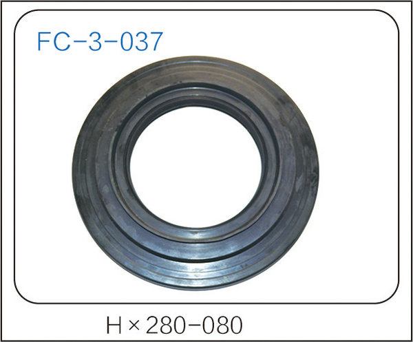 oil seal (8)