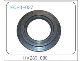 oil seal (8)