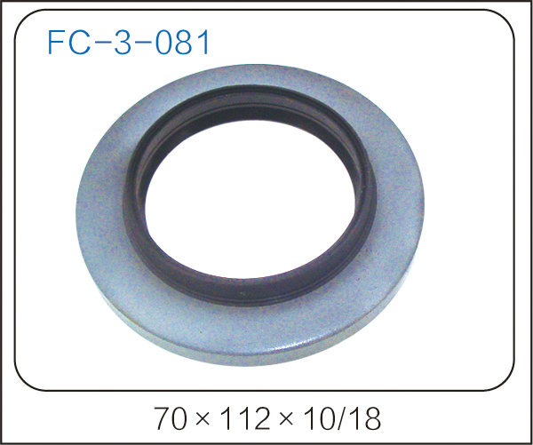oil seal (45)