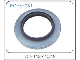 oil seal (45)