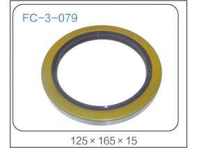 oil seal (43)