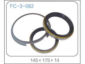 oil seal (46)