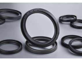 Ding Qing rubber oil seal (1)