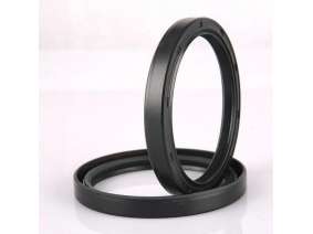 Ding Qing rubber oil seal (2)