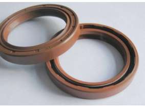 TC Fluorine rubber oil seal (4)