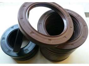 TC Fluorine rubber oil seal (5)