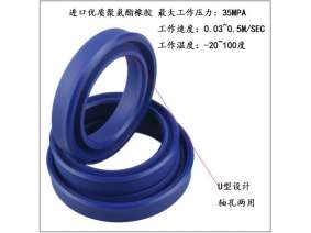 Hydraulic seal (1)