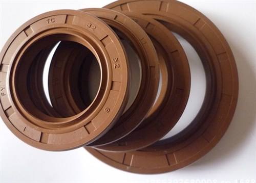 TC Fluorine rubber oil seal (6)