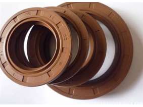 TC Fluorine rubber oil seal (6)