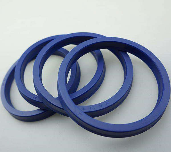 Hydraulic seal (2)