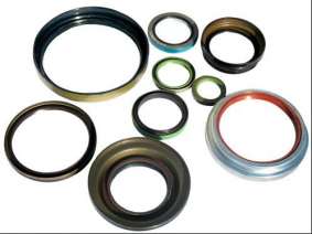 Outside framework oil seal (1)