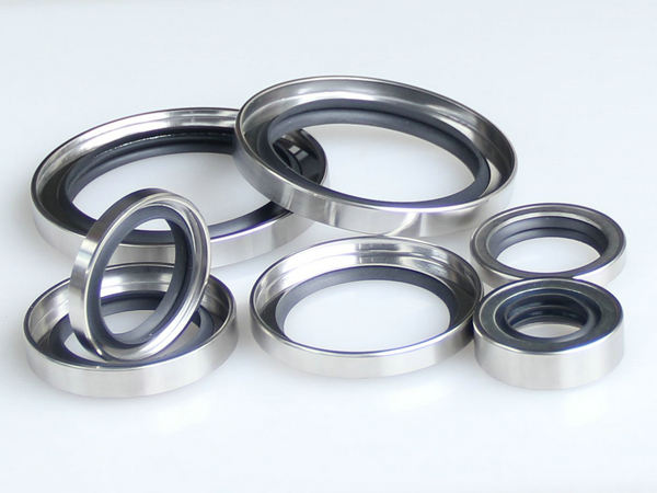 Outside framework oil seal (3)