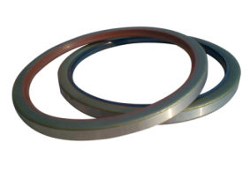 Ring crankshaft oil seal (1)