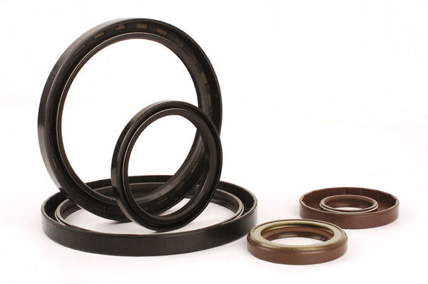 Skeleton oil seal (2)