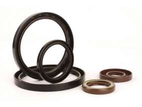 Skeleton oil seal (2)