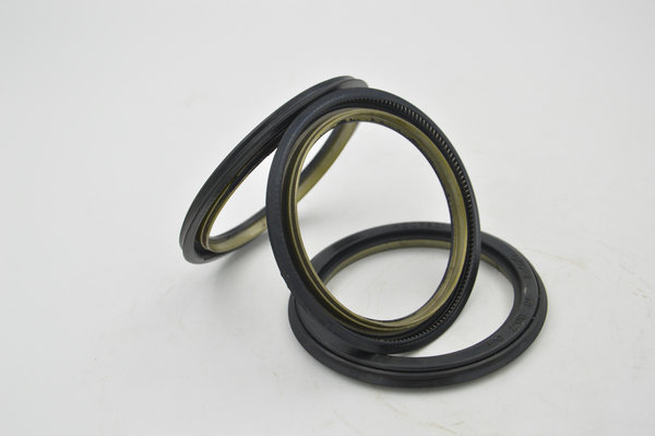 oil seal (2)