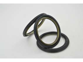 oil seal (2)