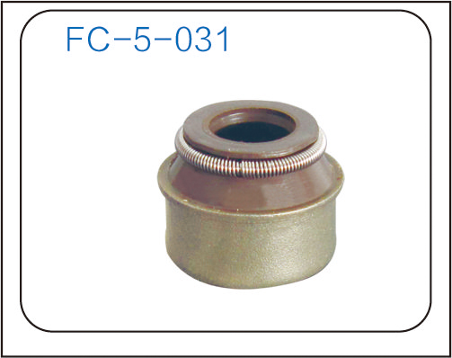 气门油封 (41)