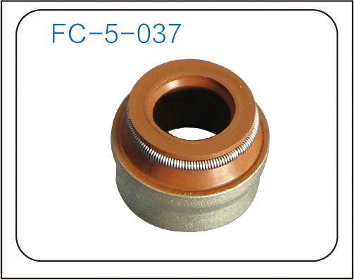 气门油封 (47)